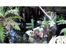 IMG 20171001 143003.jpg