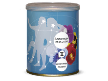 «��������» ������� ������ 87 ���