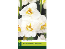 ������� �������� Sir Winston Churchill, 2 �� � ��������, 53���, 6��
