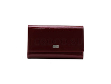 ������� Tosoco ����������� ���� B19-W05.jpg