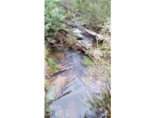 IMG 20171001 134400.jpg