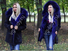 ������-����� 1801.jpg