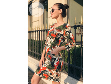 Plate-4733.  845���