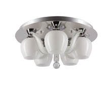 459010305 5900�.jpg