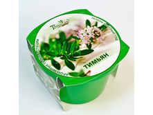 ������ (������) 80 ���