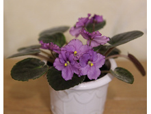 ������� �����.jpg