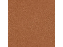 Holst Fox.jpg
