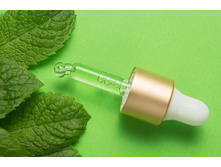 Dance Legend Step ����� ������-���.����