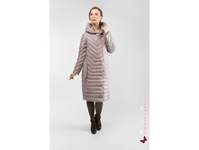 ������ Batterflei ���.1729