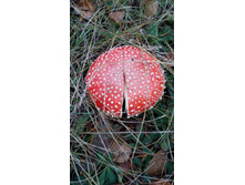 IMG 20171001 103323.jpg