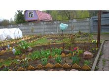 WP 20170508 11 54 26 Pro.jpg