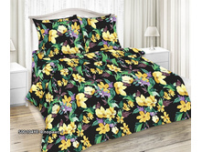 �������-1