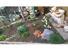 WP 20170521 16 15 55 Pro.jpg