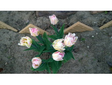 WP 20170520 19 44 55 Pro.jpg