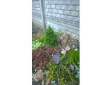 WP 20170628 19 19 13 Pro.jpg