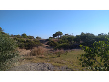 2017-10-22 09-18-35.JPG