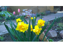 WP 20170521 16 18 39 Pro.jpg