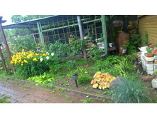 WP 20170701 15 39 49 Pro.jpg