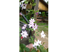 WP 20170721 09 25 25 Pro.jpg