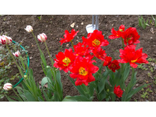 WP 20170527 09 47 22 Pro.jpg