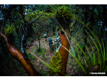 23000395 10213440465902400 5974409137190388984 o.jpg