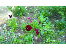 WP 20170527 09 55 09 Pro  highres.jpg