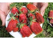 ���������� �������, 50���. (�������� 1��).jpg