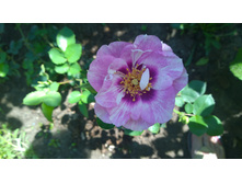 WP 20170713 09 43 07 Pro.jpg