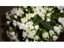 ��������� �������� �������  - 350 ���.