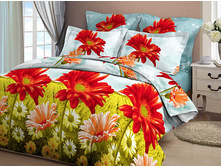 ������� ����.jpg