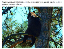 ������� ����� �� ����� ...