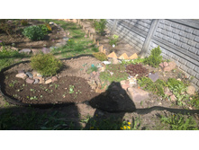 WP 20170528 16 17 42 Pro.jpg