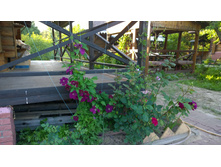 WP 20170716 18 38 54 Pro.jpg