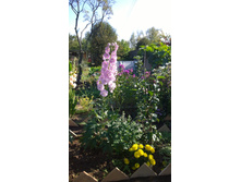 WP 20170910 09 04 26 Pro.jpg