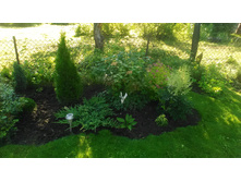 P 20170716 074128.jpg