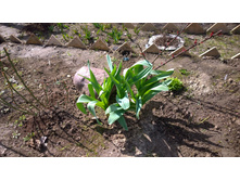 WP 20170423 13 12 42 Pro.jpg