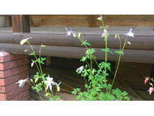 WP 20170630 11 52 59 Pro.jpg