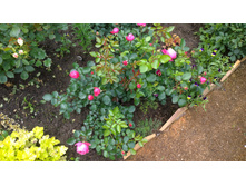 WP 20170709 12 34 41 Pro.jpg