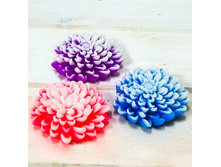 ���� ������ ������ - ����� � ����� � ������������ 99,00 ���. ���: 70 � ���: �������� ���� ��� �������� ������: ������� ������, ������������� �����, ���������, �������