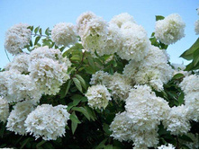 ��������� ����������� ���� ����  � ������� 296�