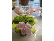 �-��������