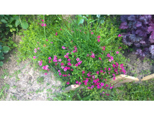 WP 20170626 12 47 41 Pro.jpg