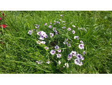 WP 20170820 09 42 43 Pro.jpg