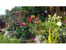 WP 20170804 09 45 02 Pro.jpg