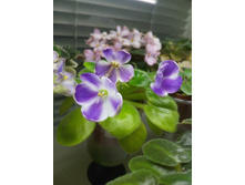 �-����� ����