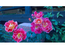 WP 20170721 09 06 57 Pro.jpg