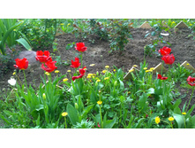 WP 20170527 09 49 22 Pro.jpg