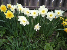 IMG 20170506 170746.jpg