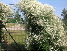 �������� ������