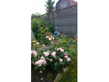 WP 20170721 09 29 15 Pro  highres.jpg